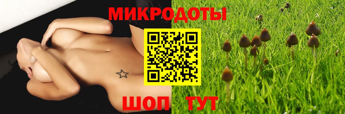 Солнечногорск  Галлюциногенные грибы Psilocybine cubensis  Вход с VPN  Псилоцибиновые грибы прущие грибы 