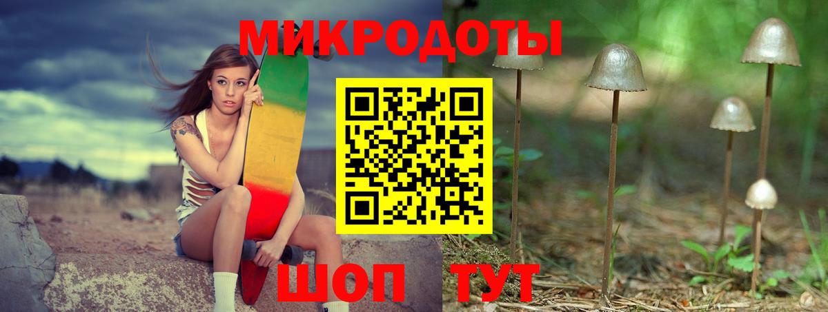 Псилоцибиновые грибы Psilocybe Солнечногорск
